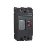 Automatico 250A 2P Zjbeny