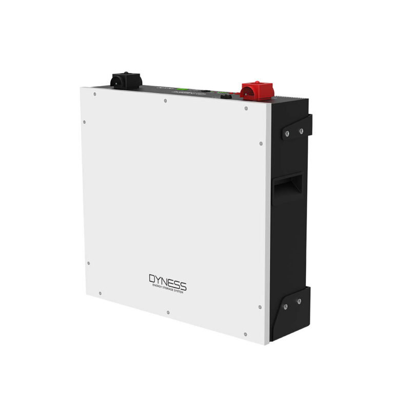 Bateria Dyness 100ah 48v litio frente